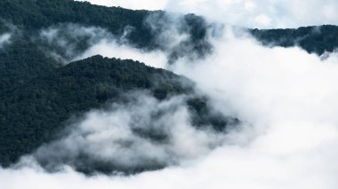 Apalaş Dağları 'nın vadilerinde sisli bir sabah. Blue Ridge Parkway' in manzarası.