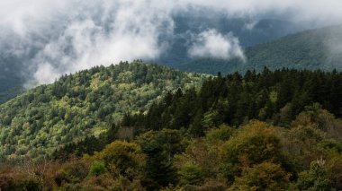 Bulutları delip geçen güneş ışığı Appalachian Dağları 'nın yamaçlarında Blue Ridge Parkway boyunca görünüyordu.