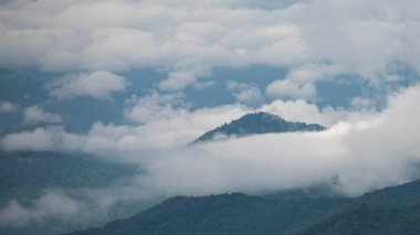 Apalaş Dağları 'nın vadilerinde sisli bir sabah. Blue Ridge Parkway' in manzarası.