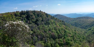 Blue Ridge Parkway boyunca Bahar Zamanı Appalachian Dağı Manzarası