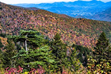 Appalachian Dağlarında sonbahar Blue Ridge Parkway boyunca görüldü.