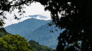 Apalaş Dağları 'nın vadilerinde sisli bir sabah. Blue Ridge Parkway' in manzarası.