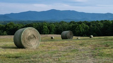 Appalachian Dağlarının eteklerinde hasat.