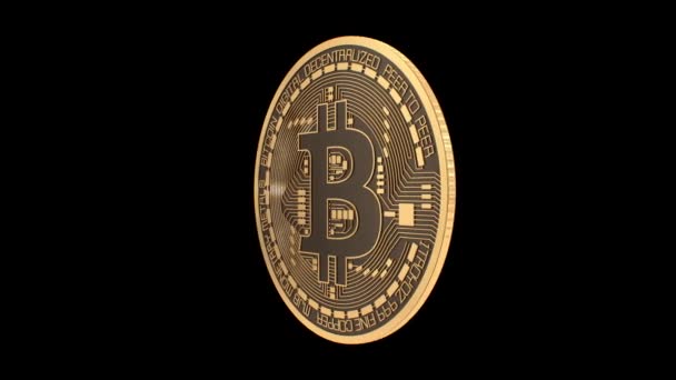 Bitcoin Cryptocurrency Λαμπερό Χρυσό Νόμισμα Περιστρέφεται Μαύρο Φόντο Seamless Loop — Αρχείο Βίντεο