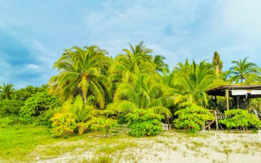 Palmiye ağaçları, şemsiyeler ve güneş şemsiyeleri Zicatela Puerto Escondido Oaxaca Meksika 'daki tropik Meksika plajındaki sahil tatil beldesi otelinde..