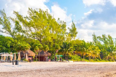 Playa del Carmen Meksika 'daki tropik Meksika plajındaki sahil otelindeki şemsiyeler ve güneş panzeleri..