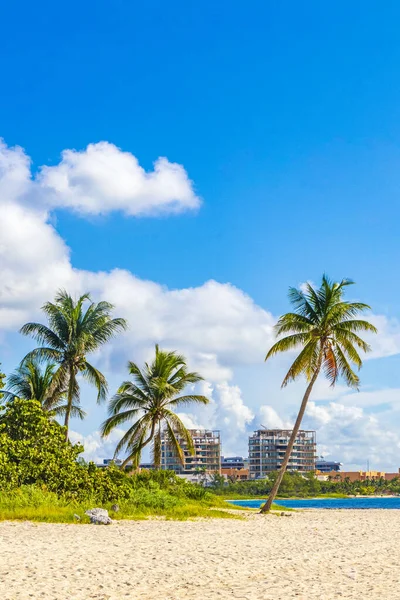 Ombrelloni Lettini Nella Località Balneare Hotel Sulla Spiaggia Tropicale Messicana — Foto Stock