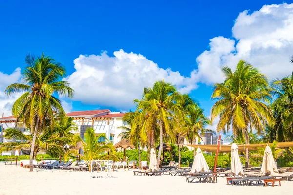 墨西哥普莱雅德尔卡门海滩海滨度假酒店的棕榈树 阳伞和日光浴者 — 图库照片
