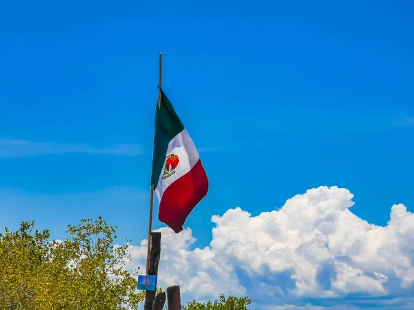 墨西哥金塔纳罗奥岛美丽的霍尔盒岛上挂着墨西哥绿白的红旗 棕榈树丛生 — 图库照片