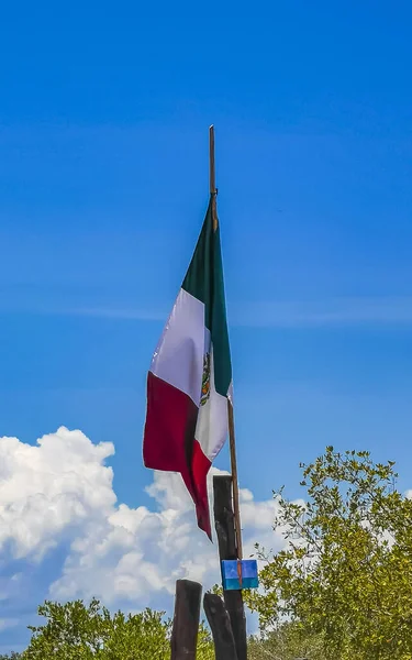 Meksika Yeşil Beyaz Bayrağı Güzel Holbox Adasında Mavi Gökyüzü Palmiye — Stok fotoğraf