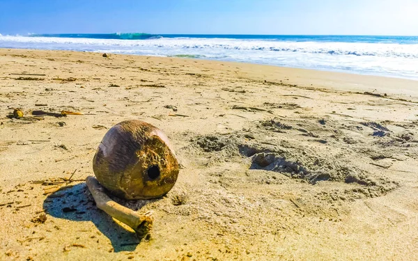 Zicatela Puerto Escondido Oaxaca 'daki sahilde son derece güzel büyük sörfçü dalgaları..