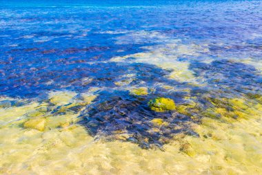 Playa del Carmen Meksika 'da turkuvaz mavisi berrak sulara sahip tropik Meksika Karayip sahili manzarası..