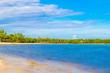 Playa del Carmen Meksika 'da turkuvaz mavisi berrak sulara sahip tropik Meksika Karayip sahili manzarası..