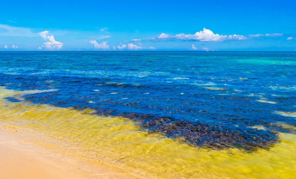 Tropical Mexican Caribbear Ландшафтна Панорама Чистою Бірюзовою Блакитною Водою Playa — стокове фото