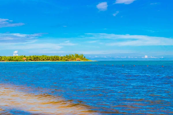 Panorama Paisagem Praia Tropical Mexicana Caribenha Com Água Azul Turquesa — Fotografia de Stock