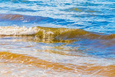 Playa del Carmen Meksika 'da turkuvaz mavisi berrak sulara sahip tropik Meksika Karayip sahili manzarası..