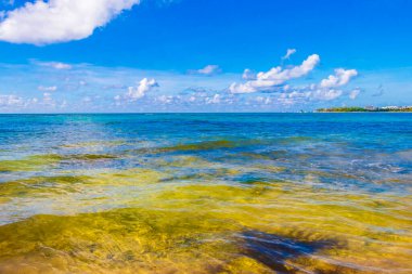 Playa del Carmen Meksika 'da turkuvaz mavisi berrak sulara sahip tropik Meksika Karayip sahili manzarası..