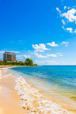 Playa del Carmen Meksika 'da turkuvaz mavisi berrak sulara sahip tropik Meksika Karayip sahili manzarası..