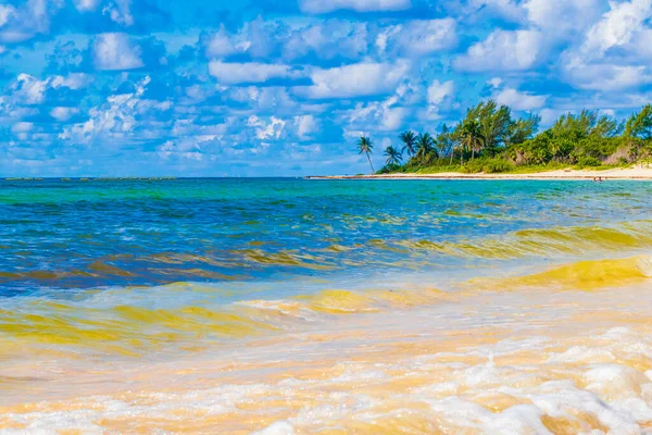 Tropické Mexické Karibské Pláže Krajina Panorama Jasnou Tyrkysově Modré Vody — Stock fotografie