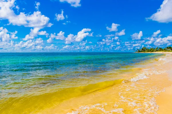 プラヤデルカーメンメキシコで明確なターコイズブルーの水と熱帯メキシコのカリブ海のビーチの風景のパノラマ — ストック写真