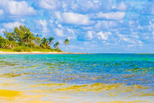 Paisaje Tropical Playa Caribeña Mexicana Con Agua Azul Turquesa Clara —  Fotos de Stock