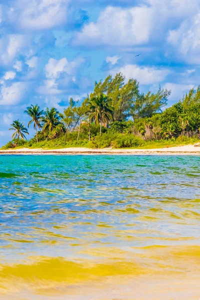 Paisaje Tropical Playa Caribeña Mexicana Con Agua Azul Turquesa Clara — Foto de Stock