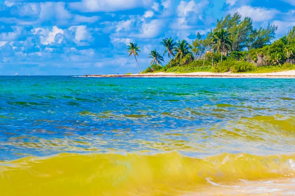 墨西哥普莱亚德尔卡门的热带美洲驯鹿海滩景观全景 蓝水清澈碧绿 — 图库照片