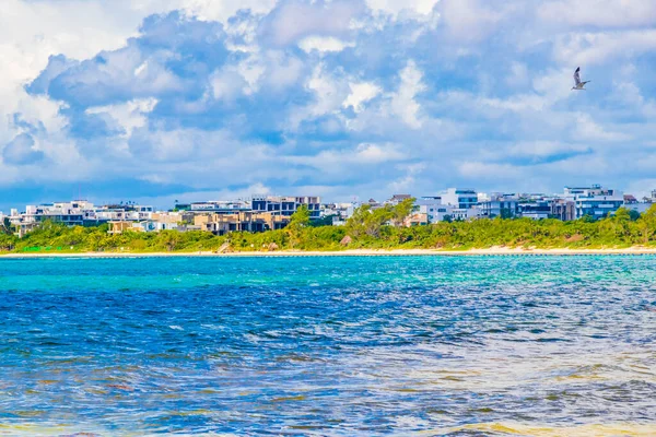 Panorama Paisagem Praia Tropical Mexicana Caribenha Com Água Azul Turquesa — Fotografia de Stock