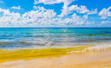 Playa del Carmen Meksika 'da turkuvaz mavisi berrak sulara sahip tropik Meksika Karayip sahili manzarası..