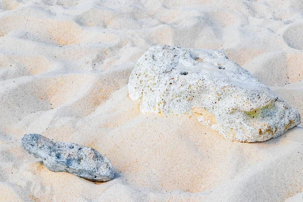 Stones Shells Corals Beach Sand Playa Del Carmen Quintana Roo — Stock Photo, Image