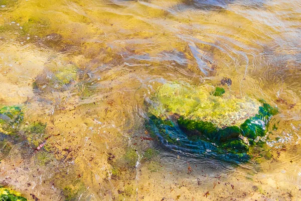 멕시코의 플라야델 카르멘 킨타나 해변에 청록색 푸른색 의물에 — 스톡 사진