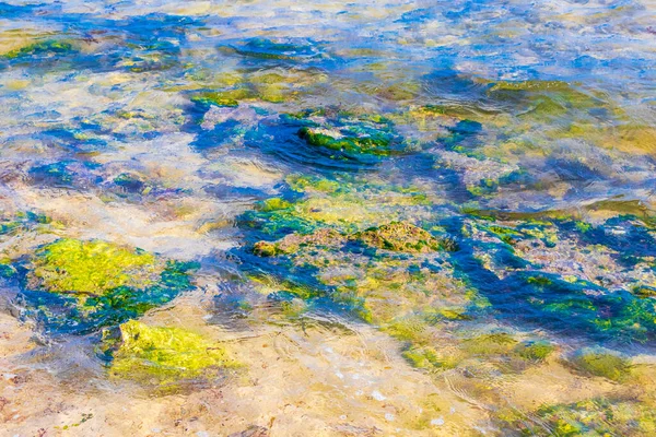 Камені Корали Бірюзовій Зеленій Блакитній Воді Пляжі Плей Дел Кармен — стокове фото