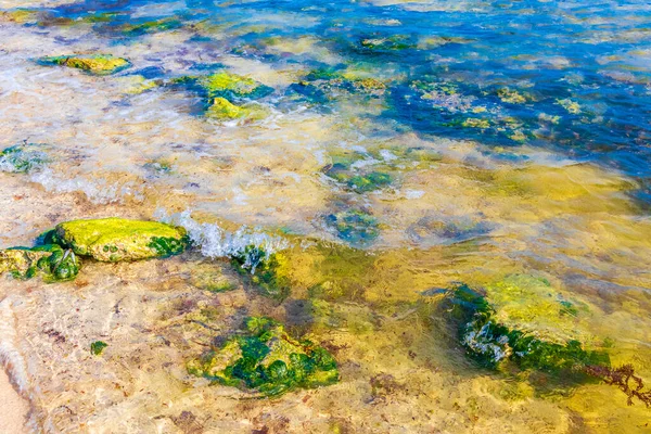 金塔纳罗奥岛海滩绿水蓝水中的岩石和珊瑚 — 图库照片