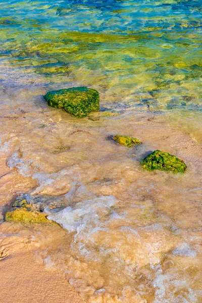 Камені Корали Бірюзовій Зеленій Блакитній Воді Пляжі Плей Дел Кармен — стокове фото