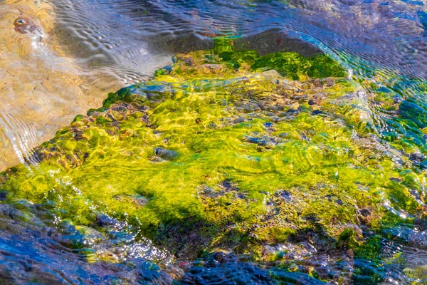 プレヤデルカルメンキンタナのビーチでターコイズグリーンと青の水の石やサンゴ Roo Mexico — ストック写真