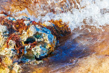 Playa del Carmen Quintana Roo Meksika sahilindeki turkuaz yeşil ve mavi sularda kayalar ve mercanlar..