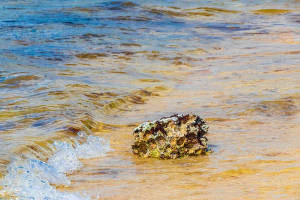 Piedras Rocas Corales Aguas Turquesas Verdes Azules Playa Playa Del — Foto de Stock