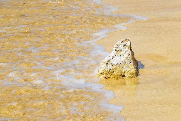 Piedras Rocas Corales Aguas Turquesas Verdes Azules Playa Playa Del — Foto de Stock