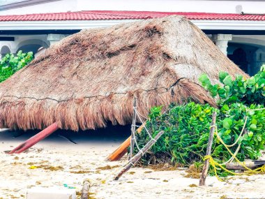 Playa del Carmen Quintana Roo Meksika 'da 2021 Kasırgası şiddetli rüzgar ve fırtına yıkıma ve yıkıma neden oldu palmiye ağaçları caddeleri, arabalar çatılar..
