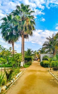 Avenida Del Morro turist sokağı Puerto Escondido ve Zicatela Oaxaca Meksika 'nın güzel manzaralı manzarası.