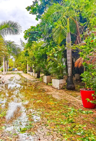Playa Del Carmen Μεξικό 2021 Τυφώνας 2021 Στο Quintana Roo — Φωτογραφία Αρχείου