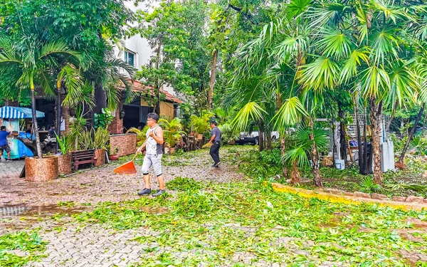 Playa del Carmen Mexico 19.08.2021 Quintana Roo Meksika kasırgası şiddetli rüzgar fırtınası ve gök gürültüsü yıkıma ve yıkıma neden oldu palmiye ağaçları caddeleri caddelerin çatıları evler.