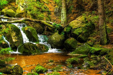 Harz Wernigerode Saksonya-Anhalt Almanya 'daki Brocken Dağı' nda orman parkındaki küçük güzel şelale deresi ve doğa..