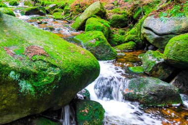 Harz Wernigerode Saksonya-Anhalt Almanya 'daki Brocken Dağı' nda orman parkındaki küçük güzel şelale deresi ve doğa..