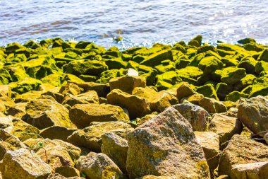 Bremen Almanya 'sındaki Schlachte' de su taşları tarlaları ve ormanlarıyla güzel kıyı ve hendek manzarası.