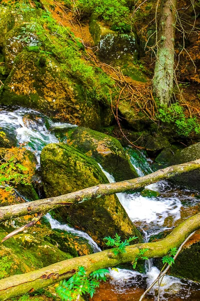 Mały Piękny Potok Rzeczny Wodospadu Parku Leśnym Przyrodzie Górze Brocken — Zdjęcie stockowe