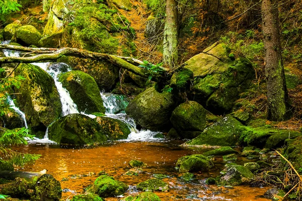 Mały Piękny Potok Rzeczny Wodospadu Parku Leśnym Przyrodzie Górze Brocken — Zdjęcie stockowe