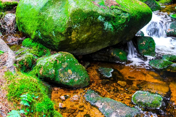 Маленький Красивий Водоспад Річковий Потік Лісовому Парку Природі Брокенській Горі — стокове фото