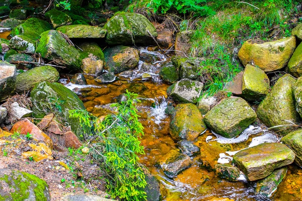 Malý Krásný Vodopád Říční Potok Lesopark Příroda Pohoří Brocken Harz — Stock fotografie
