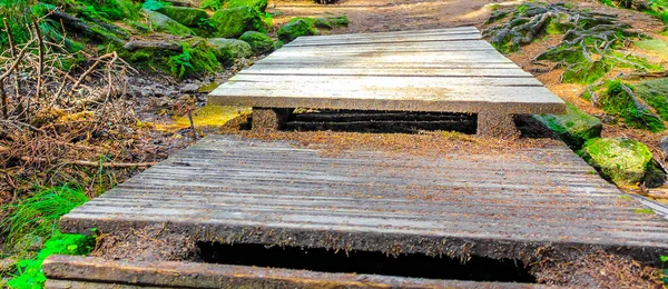 Пешеходная Тропа Лестница Природе Лесу Вернигере Харц Саксония Анхальт Германия — стоковое фото